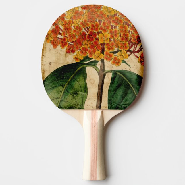 Pala De Ping Pong I floral vibrante (Anverso)