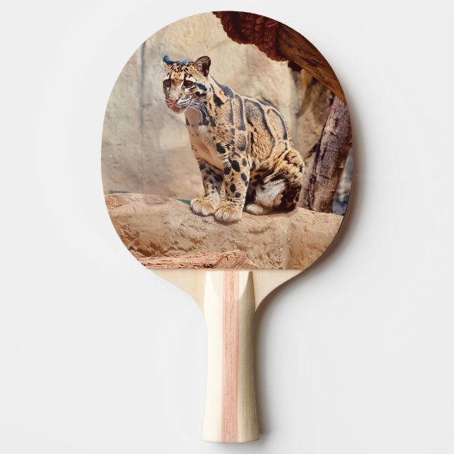 Pala De Ping Pong imagen de leopardo nublado naturaleza vida salvaje (Anverso)