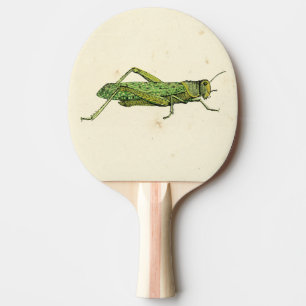 Pala De Ping Pong Impresión confinada del saltamontes verde