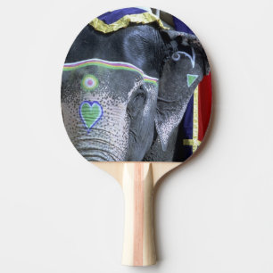 Pala De Ping Pong India, Rajasthan, Jaipur. Fuerte Amber.