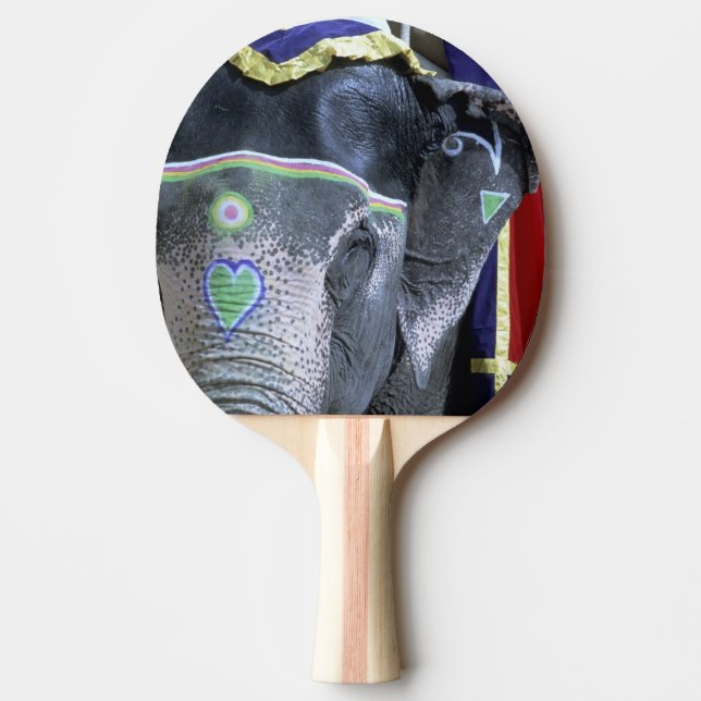 Pala De Ping Pong India, Rajasthan, Jaipur. Fuerte Amber. (Anverso)