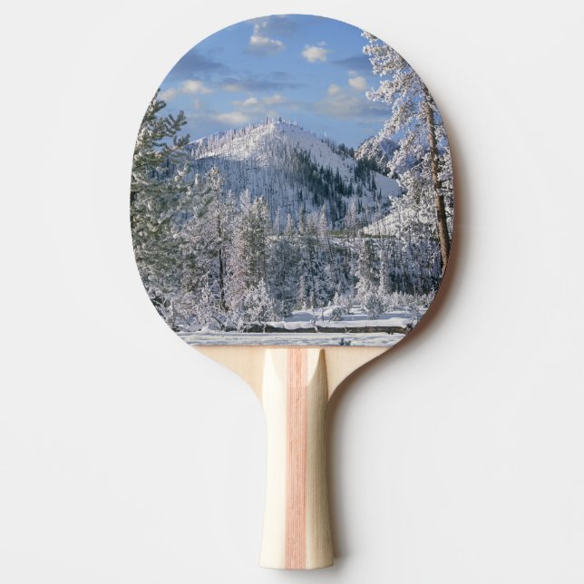 Pala De Ping Pong Invierno en el parque nacional de Yellowstone, (Anverso)
