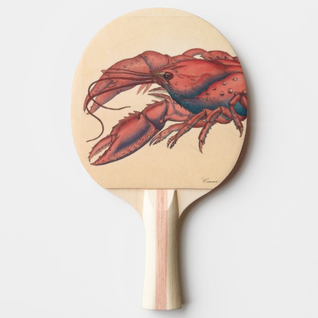 Pala De Ping Pong James Sowerby Serrate Lobster (Anverso)