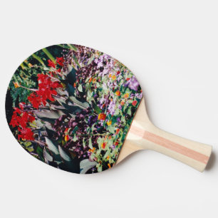 Pala De Ping Pong Jardín de curación