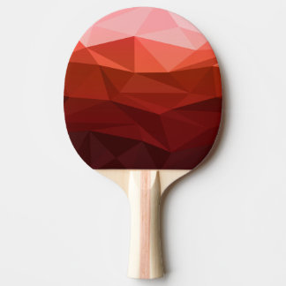 Pala De Ping Pong Jogakbo paddle