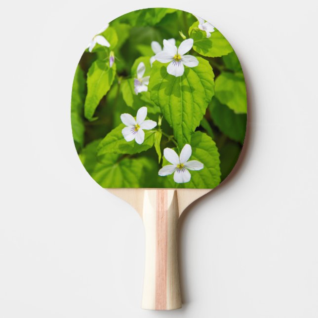 Pala De Ping Pong Joyce Kilmer-Slickrock Wilderness (Anverso)