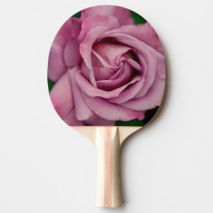 Pala De Ping Pong juego de equipo jugar jugador diversión rosa petal
