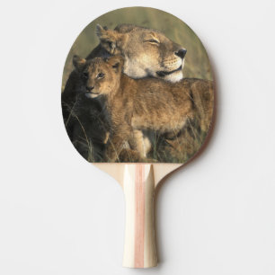Pala De Ping Pong Kenia, Reserva de caza Masai Mara, leona