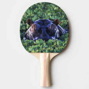 Pala De Ping Pong Kenia, Reserva Nacional Masai Mara.