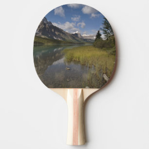 Pala De Ping Pong Lago de aves acuáticas a lo largo de la Icefields
