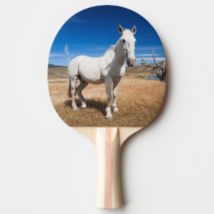 Pala De Ping Pong Laguna Azul, paisaje con caballos