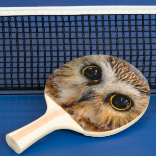 Pala De Ping Pong Lechuza blanca pequeña del norte