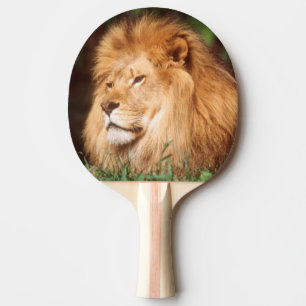 Pala De Ping Pong León macho adulto