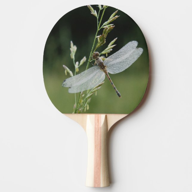 Pala De Ping Pong Libélula Darner cubierta de rocío (Anverso)