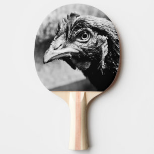 Pala De Ping Pong licores y pollos