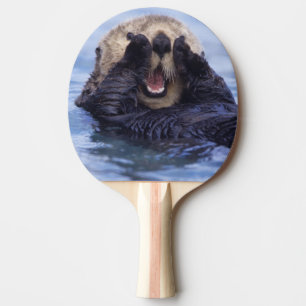 Pala De Ping Pong Lindo nutria marina   Alaska, EE. UU.