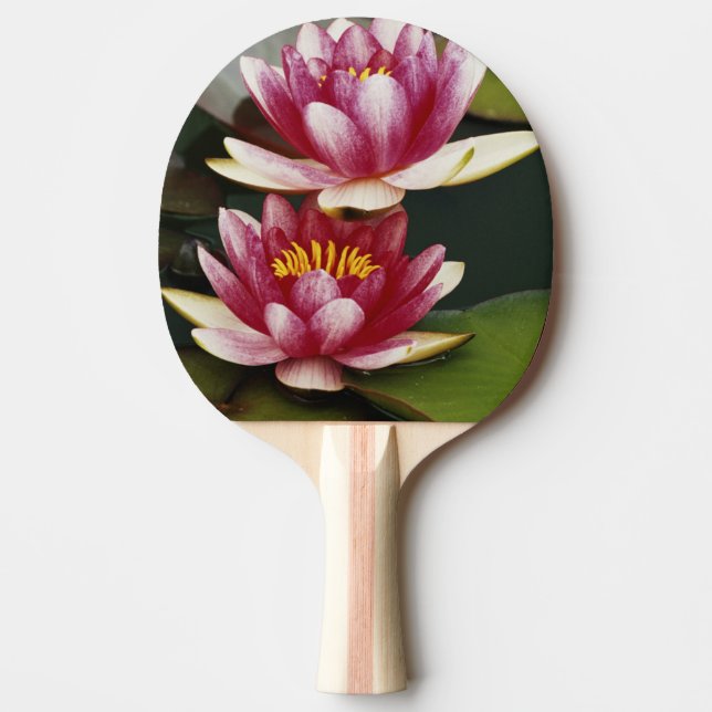 Pala De Ping Pong Lirios de agua híbridos (Anverso)