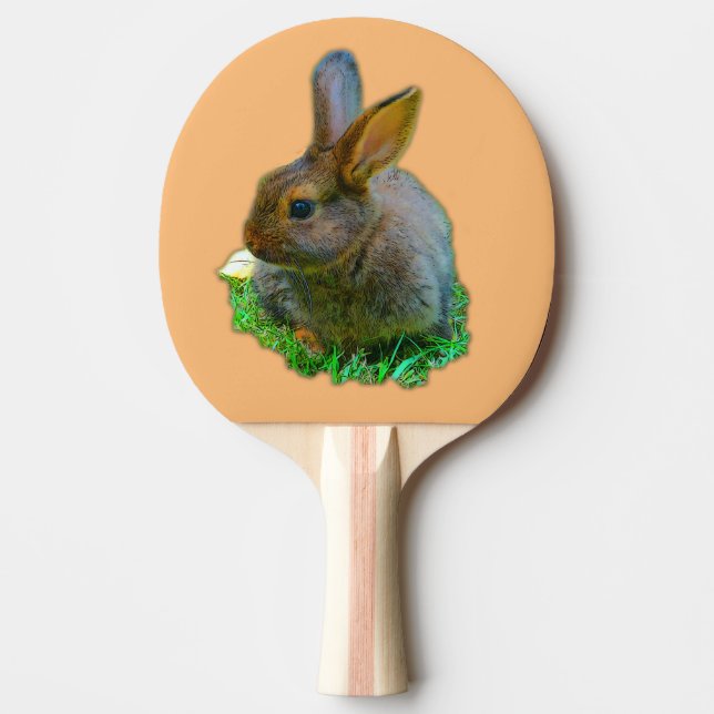 Pala De Ping Pong Little Bunny (Anverso)