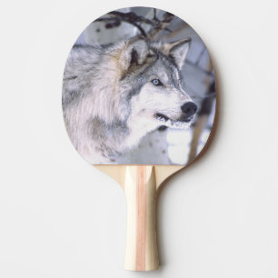 Pala De Ping Pong Lobo de Madera, Canis lupus, Animal de Película (U