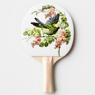 Pala De Ping Pong Loro joven y encantador en árbol floreciente