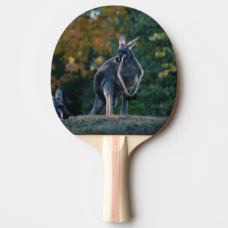 Pala De Ping Pong Majestic Kangaroo