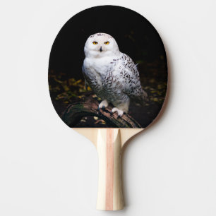 Pala De Ping Pong Majestuoso búho de invierno