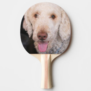 Pala De Ping Pong Mareado