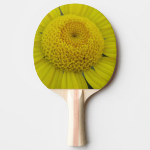 Pala De Ping Pong marguerita amarillo bonito