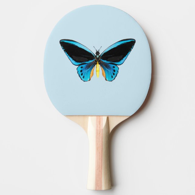 Pala De Ping Pong Mariposa Ala de Pájaro (Anverso)
