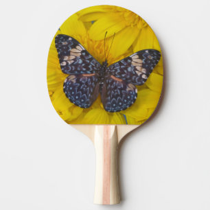 Pala De Ping Pong Mariposa en una Flor Amarilla