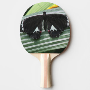 Pala De Ping Pong Mariposa tropical negra y blanca