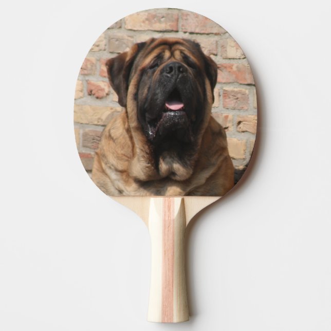 Pala De Ping Pong Mastiff englische Dogge (Anverso)