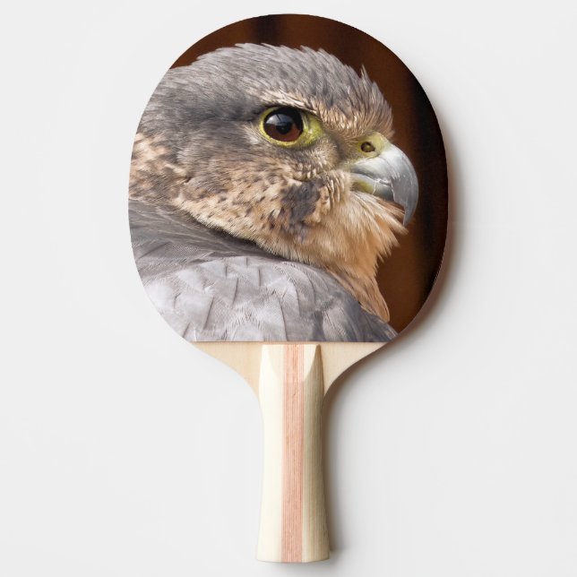 PALA DE PING PONG MERLIN FALCON BIRD DE PRESA (Anverso)