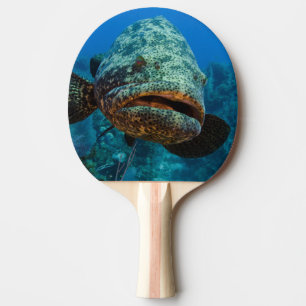 Pala De Ping Pong Mero Goliat Atlántico