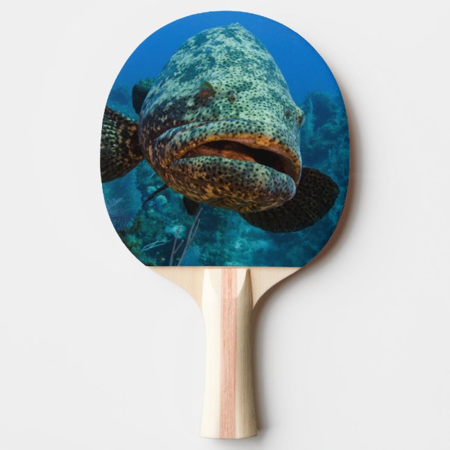 Pala De Ping Pong Mero Goliat Atlántico (Anverso)
