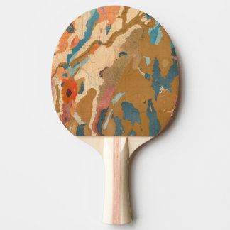 Pala De Ping Pong Meseta de Nevada geológica