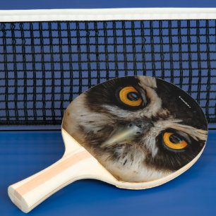 Pala De Ping Pong Mesmerizando los ojos dorados de una lechuza espec