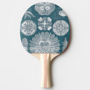 Pala De Ping Pong Modelo IV de Sealife