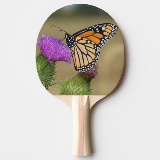 Pala De Ping Pong Monarca sobre los pastizales Thistle Prairie Ridge (Anverso)