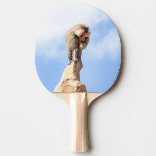 Pala De Ping Pong Mono babuino en la cima de una montaña