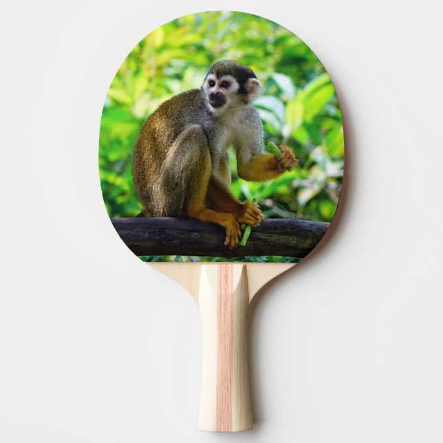 Pala De Ping Pong Mono de ardilla lindo (Anverso)