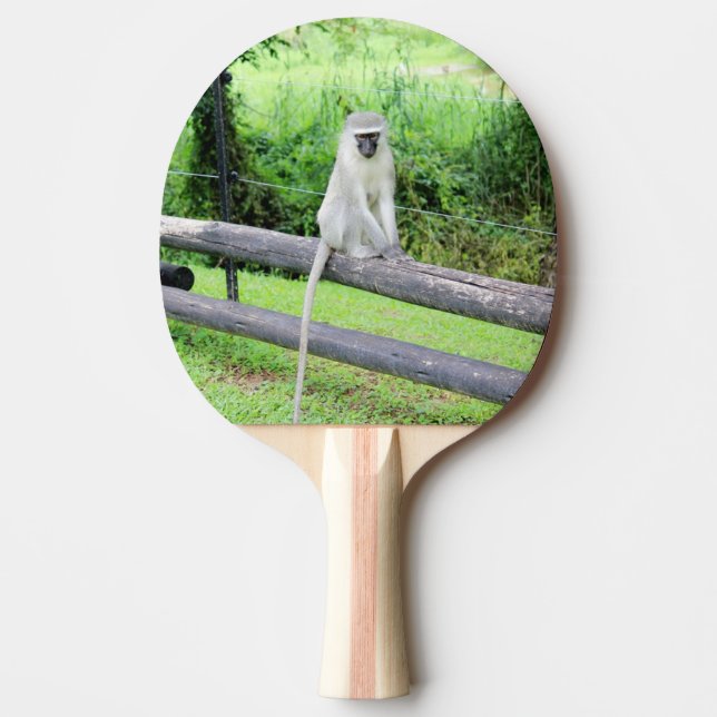 Pala De Ping Pong Mono salvaje Animal (Anverso)