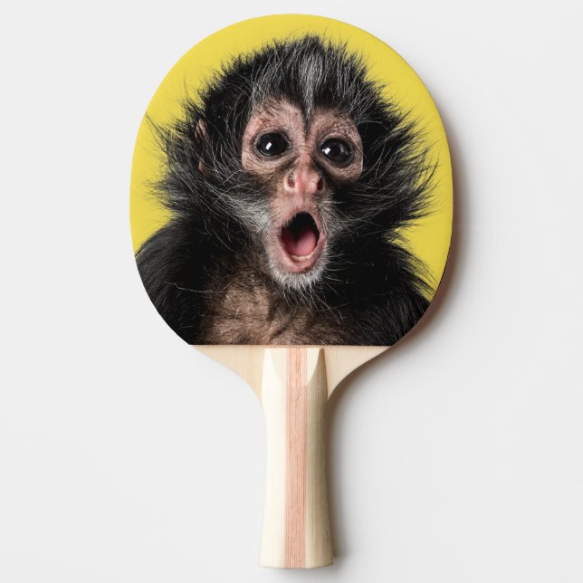 Pala De Ping Pong Mono sorprendido con dos expresiones (Anverso)