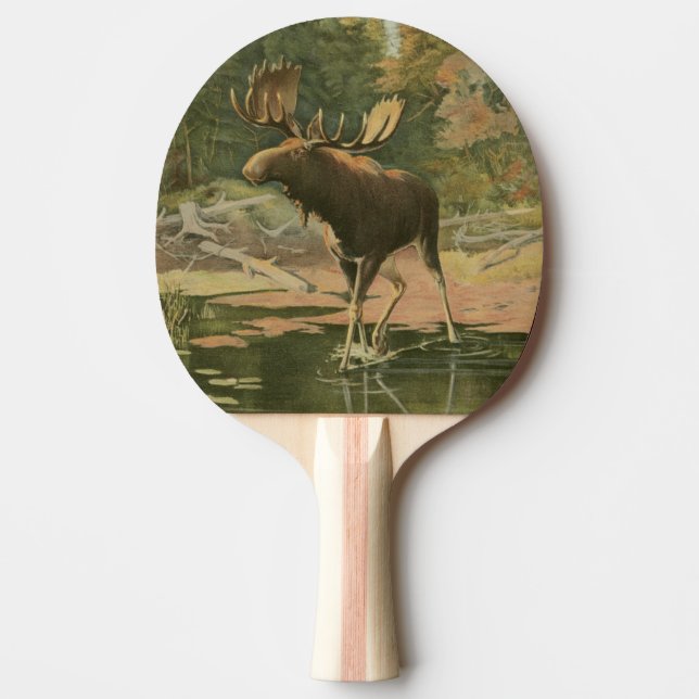 Pala De Ping Pong Moose caminando en el agua (Anverso)