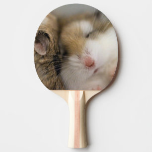 Pala De Ping Pong Mover sobre Bob