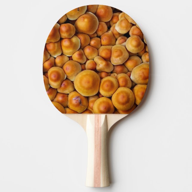 Pala De Ping Pong Mushrooms Fungus (Anverso)