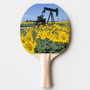 Pala De Ping Pong Na, EE. UU., Colorado, Girasoles, Torre de perfora
