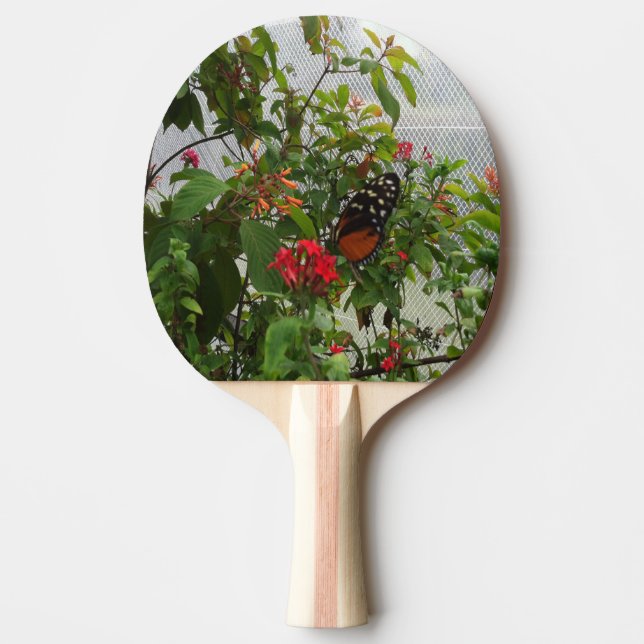 PALA DE PING PONG NARANJA BUTTERFLY (Anverso)