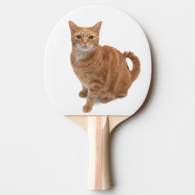 Pala De Ping Pong Naranja Cat Standing (Anverso)