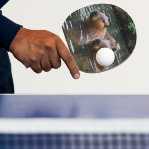 Pala De Ping Pong Natación De Capybaras En El Río,